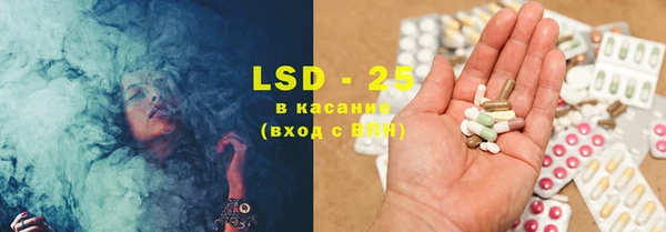spice Аркадак