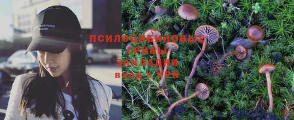 спиды Арсеньев
