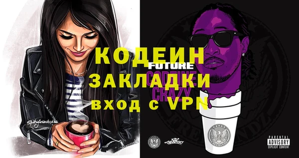 спиды Арсеньев