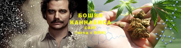 спиды Арсеньев