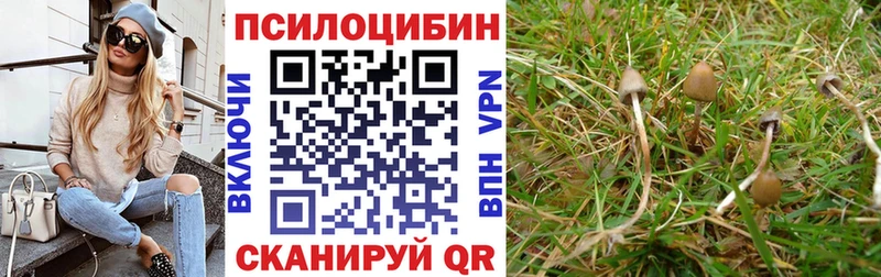 Псилоцибиновые грибы Magic Shrooms  купить закладку  ссылка на мегу рабочий сайт  Покровск 